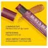 Burt's Bees Lip Shimmer Nude Collection, Tinted Lip Balm Stick,