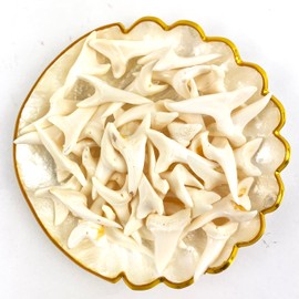 Heyiwell 5PC Shark Teeth,Real Shark Tooth Charm Pendant for Jewelry Necklace Making DIY Crafts Approx 1-1/8" Inch