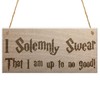 RED OCEAN Solemnly Swear No Good Wizardry Hanging Plaque Magic
