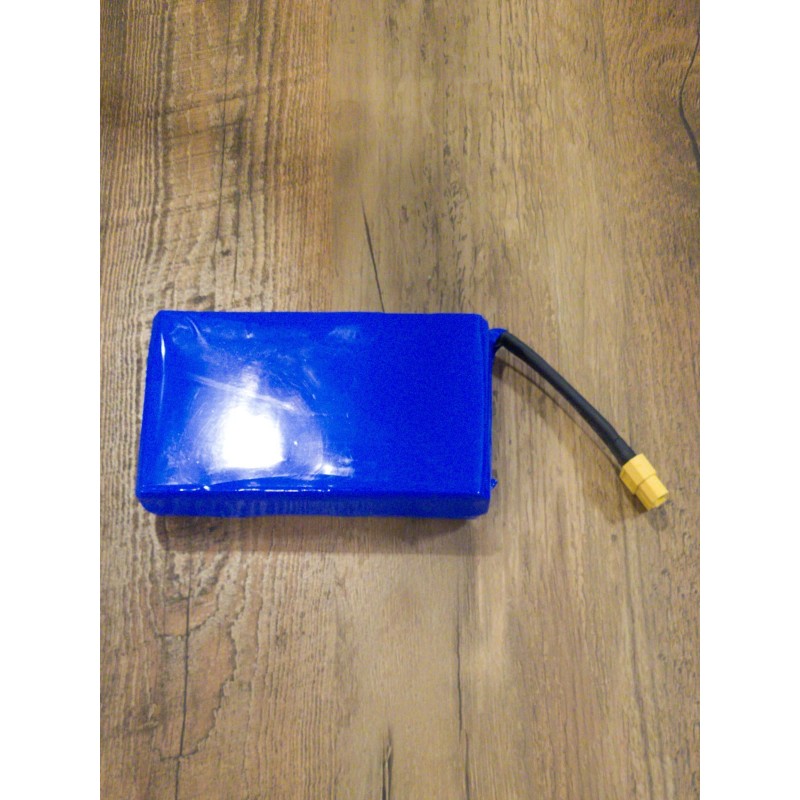 Battery 21.6V 2.5Ah 6S Li-ion Battery Pack w/ XT60 –