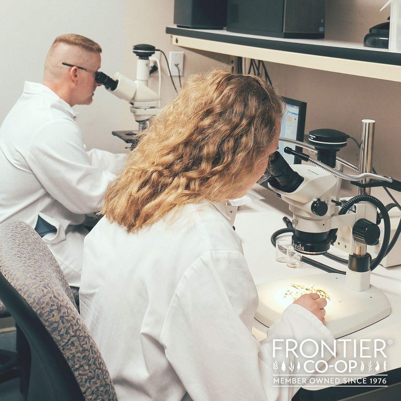 Frontier Co-op Black Peppercorns, 1-Pound Bulk, Great In Peppermills, Add