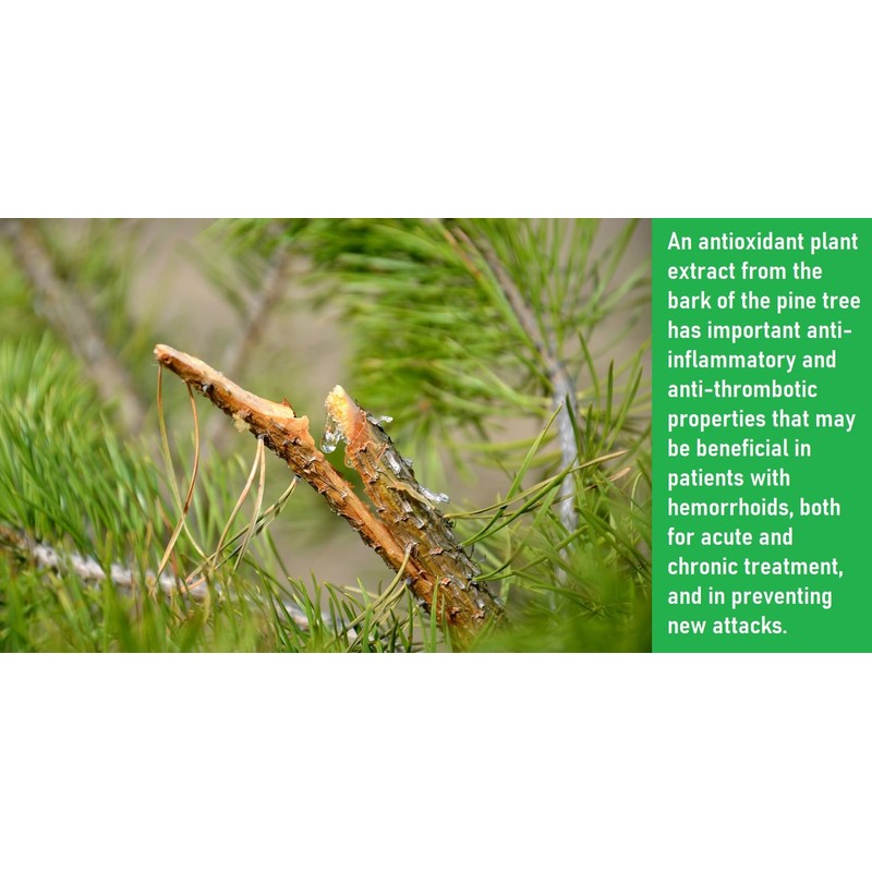 10 Suppositories with Propolis Extract, Oily Extract of Pine Resin