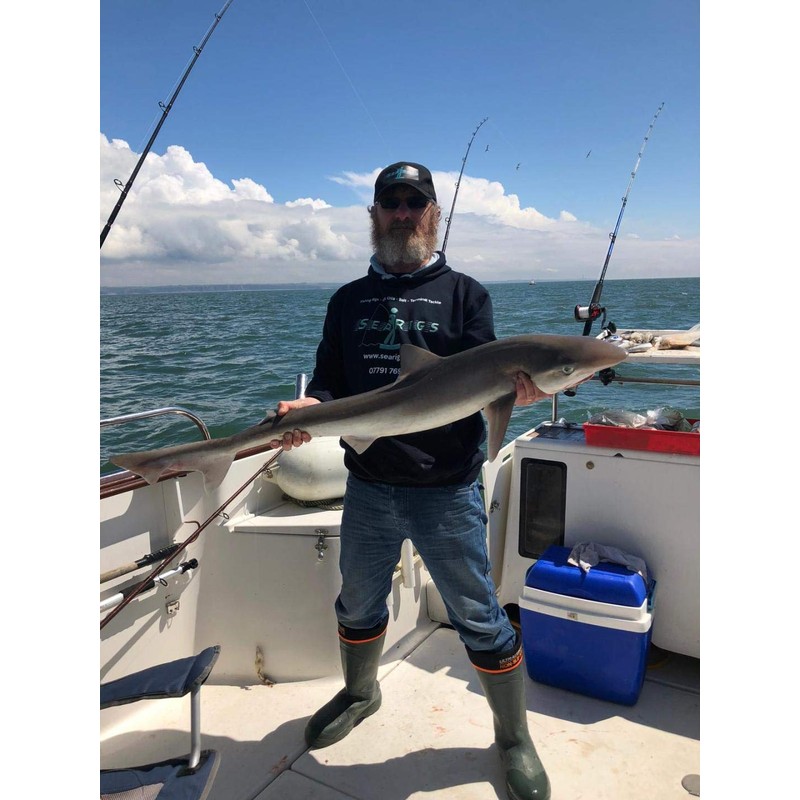 Conger Rigs/Traces x3 80lb Asso Mono, 6/0 Carbon Steel Circle