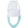 Dr. Brown's Designed to Nourish, Fresh Firsts Silicone Feeder, Mint,