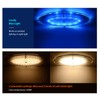 Dream Lighting 12volt DC RV Interior LED Oval Panel Light