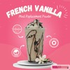Shakezero French Vanilla (1-5lb Pkg) ~ Plant-Based Protein Powder Meal