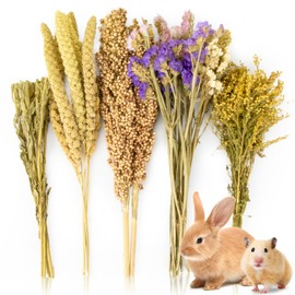 Sukh Natural Hamster Bedding - Hamsters Sprays Safe Cage Accessories Hideout Habitat Decorations for Dwarf Syrian Hamster,Gerbil,Lemming Degus,Mice and Other Small Animals