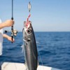 Inline Trolling Weights with Swivel Anti-Twist Egg Sinker Design