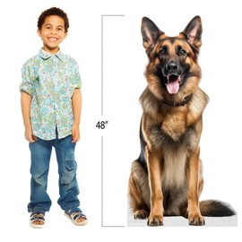Dog - German Shepherd - Life Size Cardboard Cutout Standup People with Support Standee | Animals -