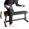 Standard Weight Training Benches Flat Utility Bench for Dumbbell Ab