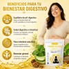Gomitas Probióticos Aloe Vera Sabor Chemisette Unidades