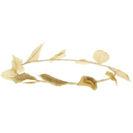 Roman Laurel Wreath Party Accessory (1 count) (1/Pkg)