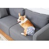 Jasinber Set de 4 Pañales de Perro Femenina Lavables, Envoltura
