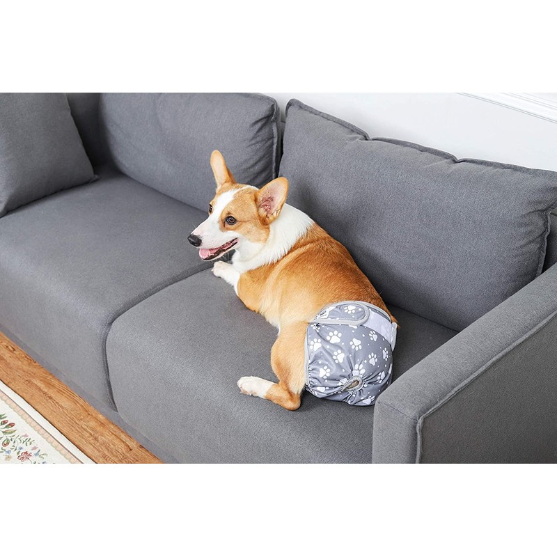 Jasinber Set de 4 Pañales de Perro Femenina Lavables, Envoltura