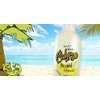 Calypso Lemonade, Original Lemonade, Made with Real Fruit, 16 Fl