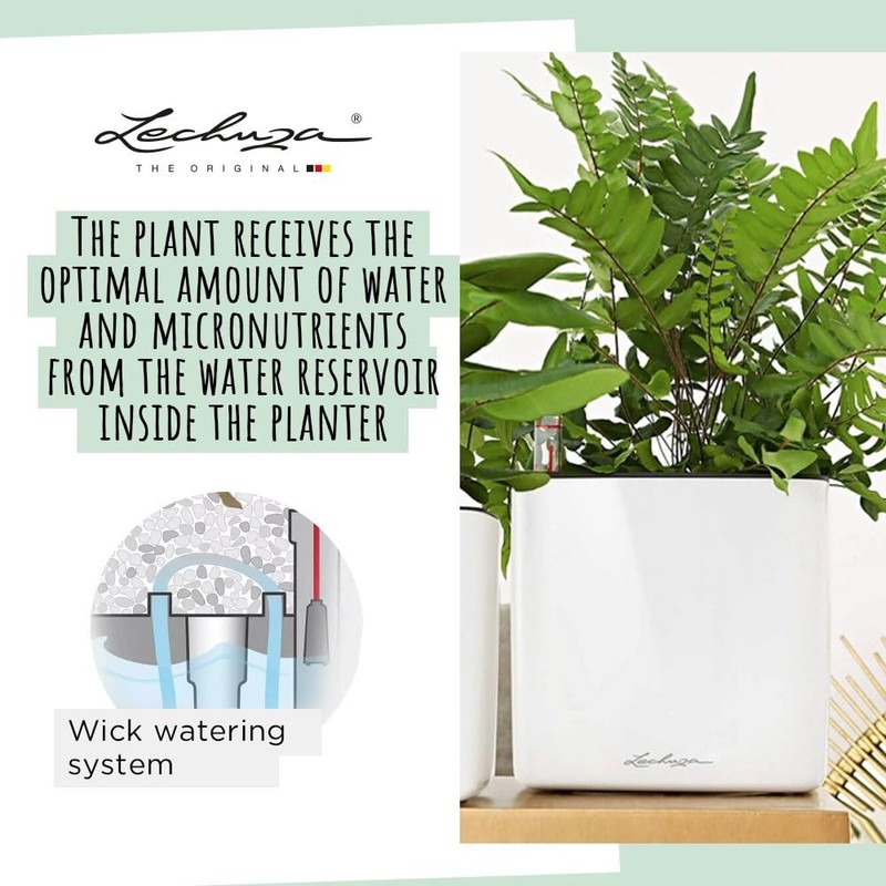 Lechuza Cube - Glossy, High-Quality Plant Cube with Stick Irrigation