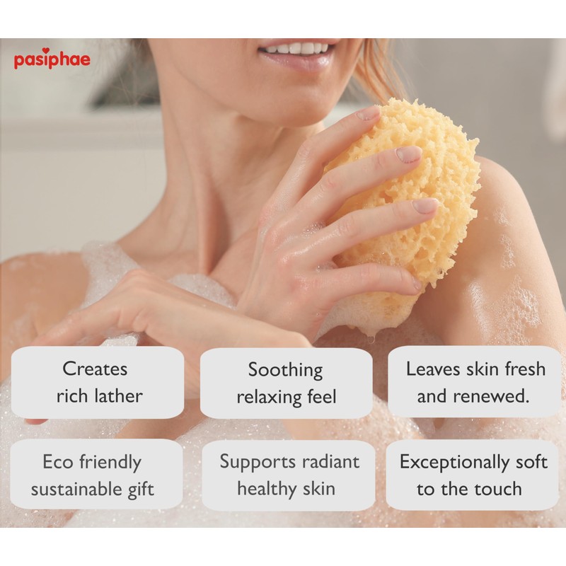 Pasiphae Unbleached Honeycomb 100% Natural Bath Sea Sponge from Greece,