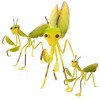 Gatuida 3 Pcs Mantis Shape Iron Garden Ornament Vivid Hanging