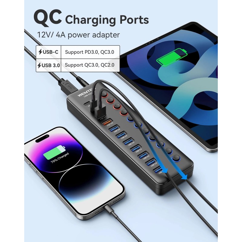 WENTER Powered USB 3.0 Hub, Wenter 48W 11-Port USB Hub