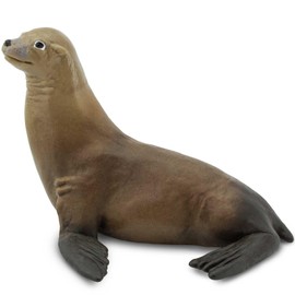Safari Ltd. Sea Lion Figurine - Detailed 3.1" Plastic Model Figure - Fun Educational Play Toy for Boys, Girls & Kids Ages 3+