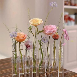 8PCS Test Tube Vases Decorative Glass Flower Vase Hinged Flower Vases Planter Flower Arranging Container Hydroponic Flower Holder Decor with 15PCS Hooks and 2PCS Brushes (VASES- A)