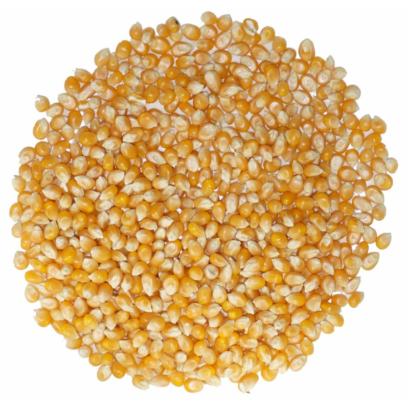Ohtsuya Popcorn Corn Kernels Popcorn (500g)