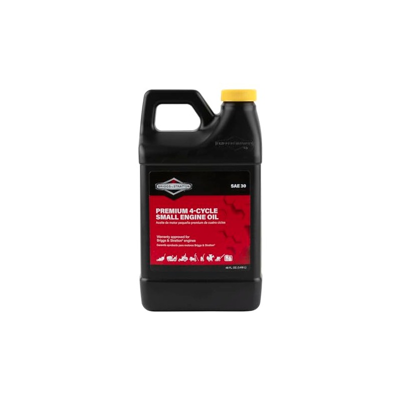 Central Power Sys/Brigg 100028DIB 4-Cycle Oil