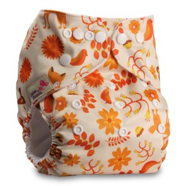 Littles & Bloomz, Reusable Pocket Cloth Nappy, Fastener: Popper, Set of 1, Pattern 104, with 1 Microfibre Insert