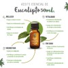OLEUM VITAE Aceite Esencial de Eucalipto 30ml. Eucalyptus Globulus 100%