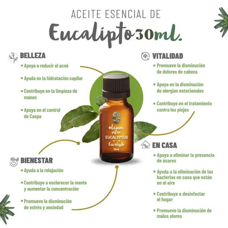 OLEUM VITAE Aceite Esencial de Eucalipto 30ml. Eucalyptus Globulus 100%