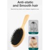 Roarrter Boar Bristle Hair Brush Natural Beech Comb Hairbrush for