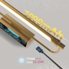 ZitoStory Gold Portrait Art Light Battery Operated Picture Light with