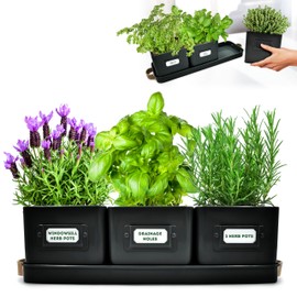 volila Herb Planter Indoor - Set of 3 Black Indoor Herb Garden Pots for Plants with Leather Handled Tray - Window Sill Plant Shelf - Herb Pots with Drainage Holes and Labels