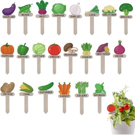 Paquete de 22 etiquetas para plantas de jardín de boj – Etiquetas de madera vegetariana, estilo gnomo de dibujos animados, interiores y exteriores, marcadores de jardín de madera para macetas y