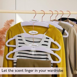 ManGotree Velvet Coat Hangers with Empty Aromatherapy Boxes, Non-Slip Short Neck Hangers, Ultra-Thin Space Saving Suit Hanger for Jacket, Shirt, Dress, Pant (22 Pack, Light Purple)