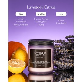 M&SENSE Lavender Citrus Scented Candle, Natural Soy Candles for Home Scented, Stress Relief 7.05oz 50H Burn Time Aromatherapy Candle Gift for Mom Friends Teacher, Classic Jar Candle for Spa Bath Yoga