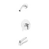 Pfister R890700 Polished Chrome Modern 1-Handle Tub & Shower, Trim