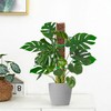 EOX 2 Pcs 36 Inch Plastic Moss Pole for Monstera,