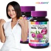 Holidays Milk Thistle 90 tablets, 2 bottles (6 month supply)