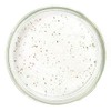 Pebeyre Truffle Salt Collection (Summer Truffle, 7oz)