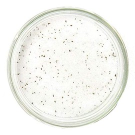 Pebeyre Truffle Salt Collection (Summer Truffle, 7oz)