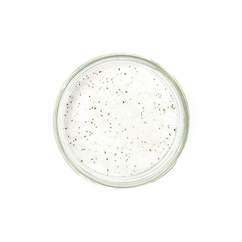 Pebeyre Truffle Salt Collection (Summer Truffle, 7oz)