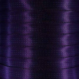 West Coast Paracord 1-Inch Tubular Nylon Webbing – Premium Heavy Duty Lightweight with Breaking Strength of 4000 Pounds – Outdoor All Purpose Straps for Climbing and Securing (Purple, 10 Yards)