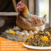 MAQIHAN 15oz Chicken Nesting Herbs - Dried Herbs for Laying