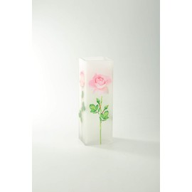 CC Home Furnishings 11" Garden Roses Printed Square Flower Hand Blown Glass Vase