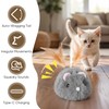 Pawthquake Moving Cat Toy Cat Mouse Toy with Automatically Wagging