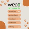WEPO Teething Ring Dog Diameter 15 cm Orange - Puppy