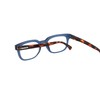 CHARRO Lesebrille Original 3 Blau-Schildpatt +3,00