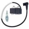 Ignition Coil With Spark Plug BM6A For Echo Shindaiwa Blower