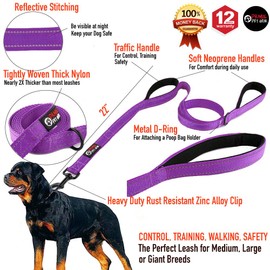 Primal Pet Gear Dog Leash 6ft Long,Traffic Padded Two Handle,Heavy Duty,Reflective Double Handles Lead for Control Safety Training,Leashes for Large Dogs or Medium Dogs,Dual Handles Leads(Purple)